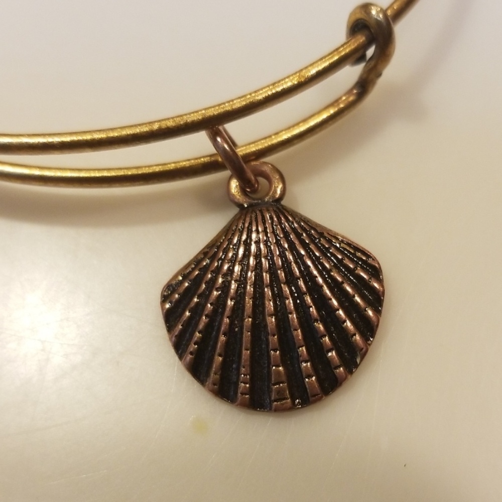 Alex and Ani Bracelet - Picture 4 of 4